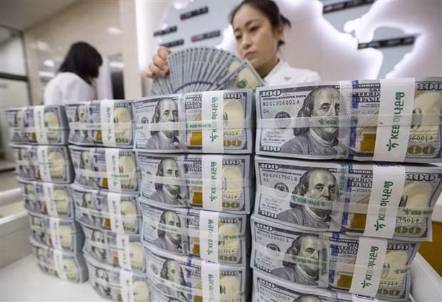 Vietnam entre los 10 mayores receptores de remesas del mundo ảnh 1