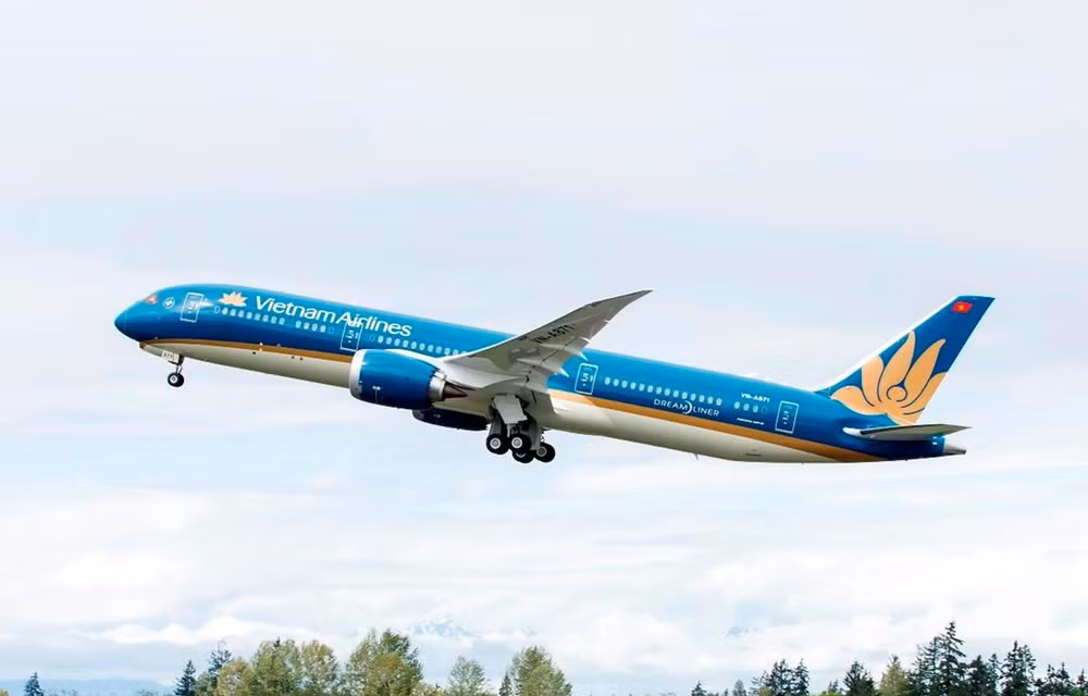 Vietnam Airlines aumentará vuelos a Filipinas para aficionados vietnamitas de fútbol ảnh 1 Vietnam Airlines aumentará vuelos a Filipinas para aficionados vietnamitas de fútbol ảnh 1