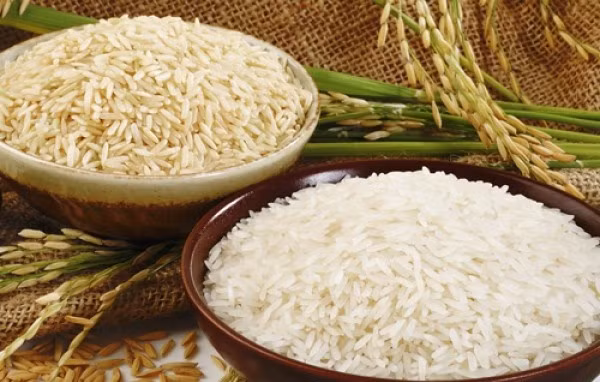 Celebran IV Festival de Arroz de Vietnam ảnh 1