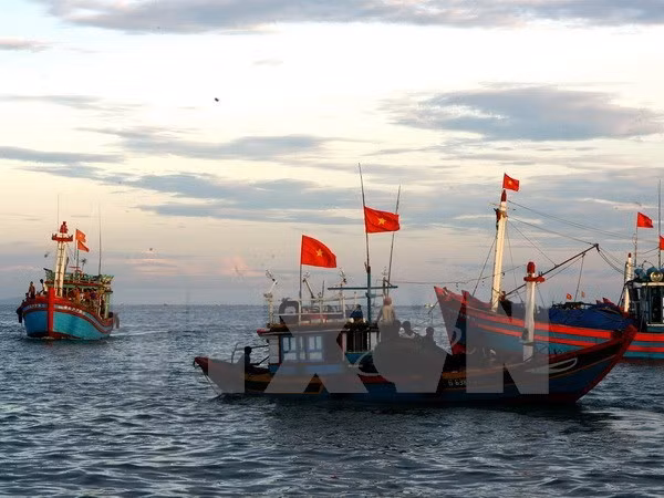 Trato a pescadores debe ser conforme a las leyes internacionales ảnh 1