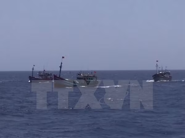 Prohibición de pesca de China en aguas de Vietnam no tiene valor ảnh 1