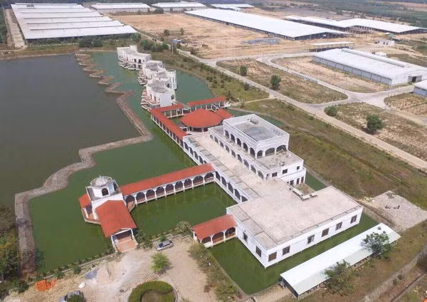 Vinamilk exporta productos lácteos a China ảnh 1