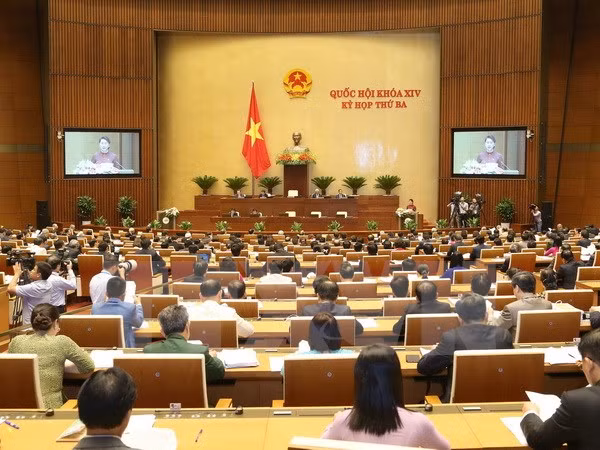 Electores vietnamitas muestran interés en temas debatidos en sesiones parlamentarias ảnh 1