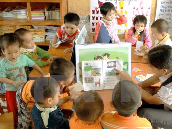 Ciudad Ho Chi Minh se esfuerza para fortalecer protección infantil ảnh 1