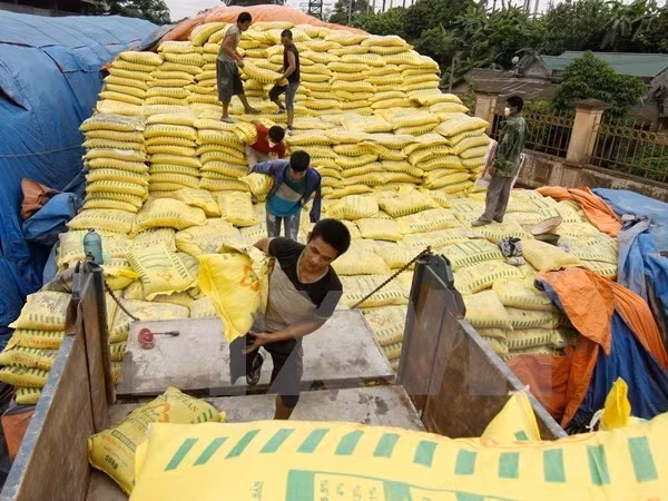 Vietnam estudiará la aplicación de medidas de protección sobre fertilizantes importados ảnh 1