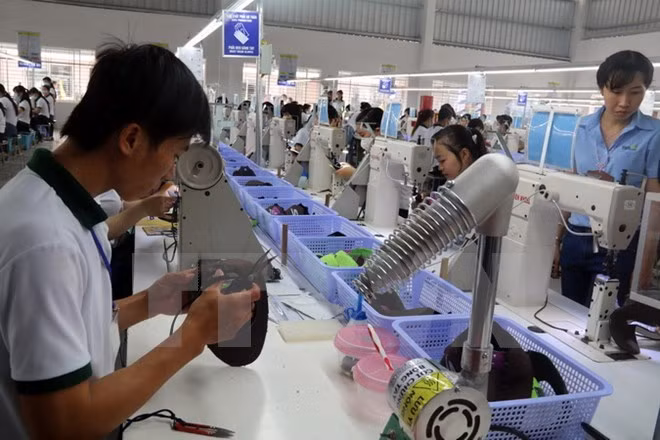 Fundarán en Ciudad Ho Chi Minh centro de emprendimiento ảnh 1