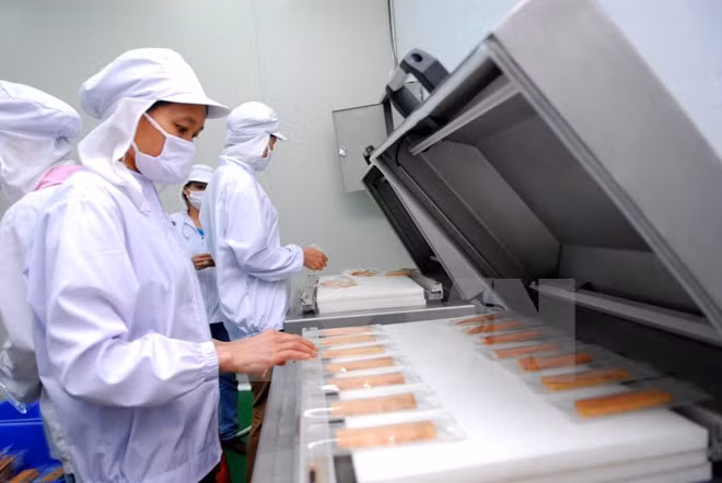 APEC promueve crecimiento mediante la innovación ảnh 1