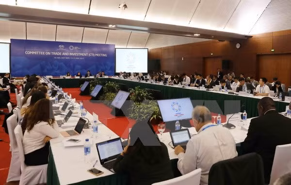 APEC 2017: delegados sugieren aprovechar oportunidades generadas por era digital ảnh 1