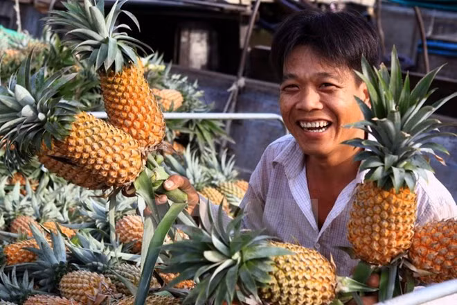 Vietnam ingresa mil millones de dólares por exportaciones hortofrutícolas ảnh 1