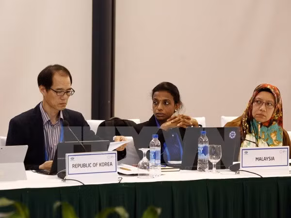 Altos funcionarios de APEC debaten temas sobre era de tecnología informática ảnh 1