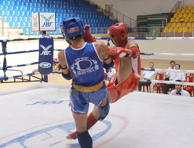 Vietnam gana dos oros en Campeonato Mundial de Muay thai 2017 ảnh 1