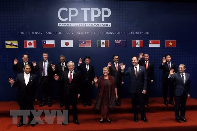 Vietnam y otros países del Pacífico firman histórico acuerdo comercial CPTPP ảnh 1