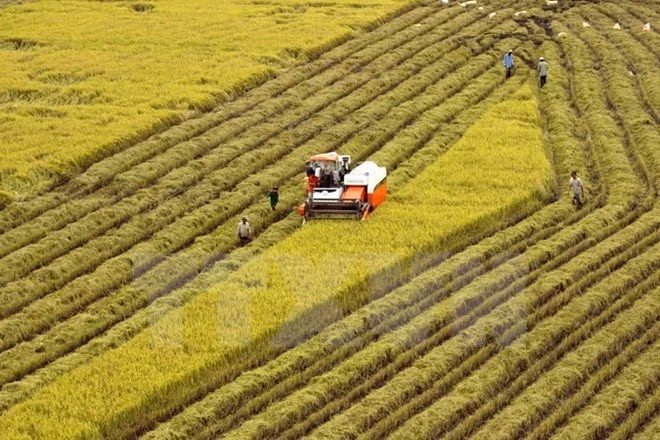 Proponen establecer mecanismo para solucionar exportaciones alimentarias a China ảnh 1
