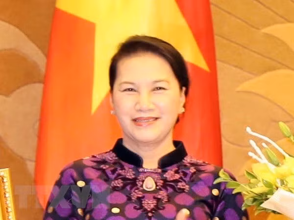 Visita de presidenta parlamentaria muestra dinámica de nexos Vietnam- Países Bajos ảnh 1