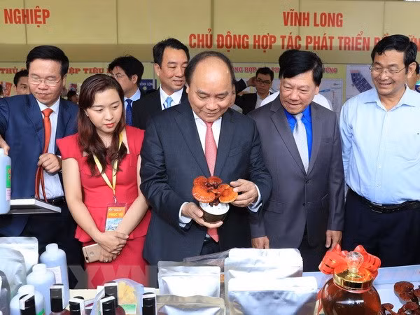 Premier vietnamita insta a Vinh Long a desarrollar agricultura inteligente y ecoturismo ảnh 1