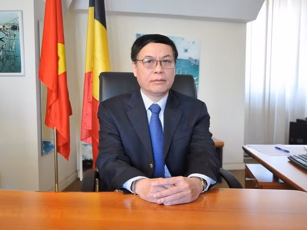 Vietnam y Bélgica consideran establecer asociación estratégica en algunas esferas ảnh 1