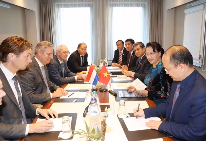 Vietnam promete entorno jurídico favorable para empresas holandesas ảnh 1