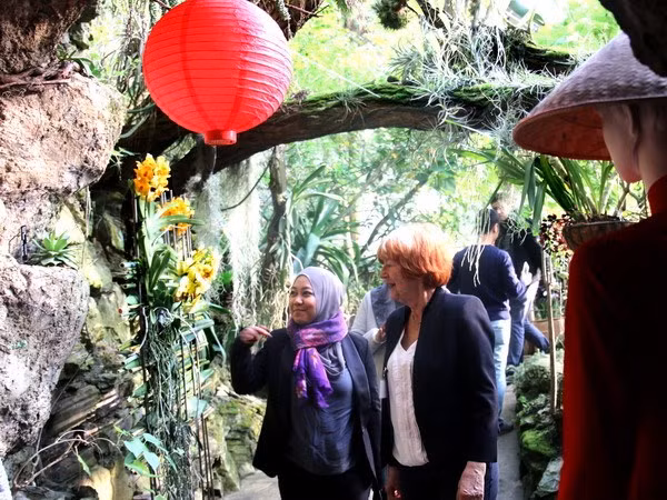 Presentan en Praga orquídeas de origen de Vietnam ảnh 1