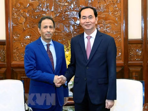 Presidente de Vietnam resalta nexos con Emiratos Árabes Unidos ảnh 1