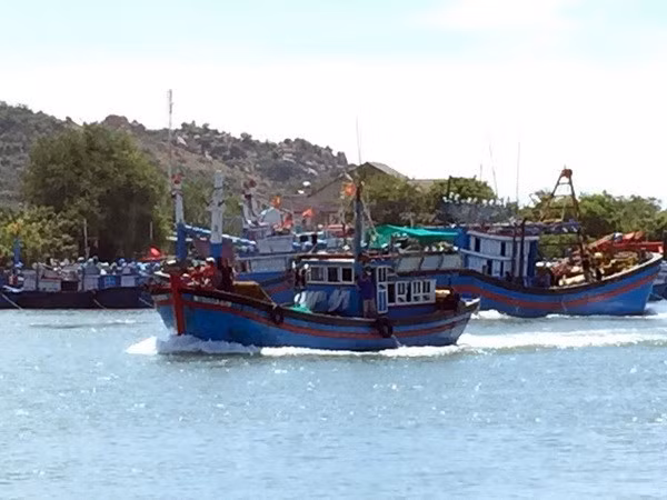 Sociedad de Pesca de Vietnam se opone a la veda china en Mar del Este ảnh 1