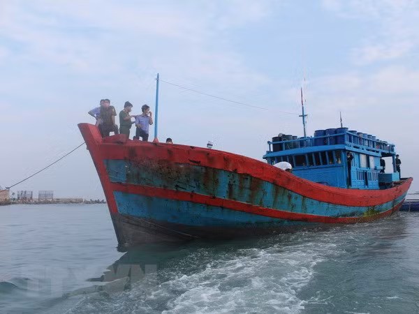 Provincia vietnamita acelera búsqueda de pesquero con siete marinos a bordo ảnh 1
