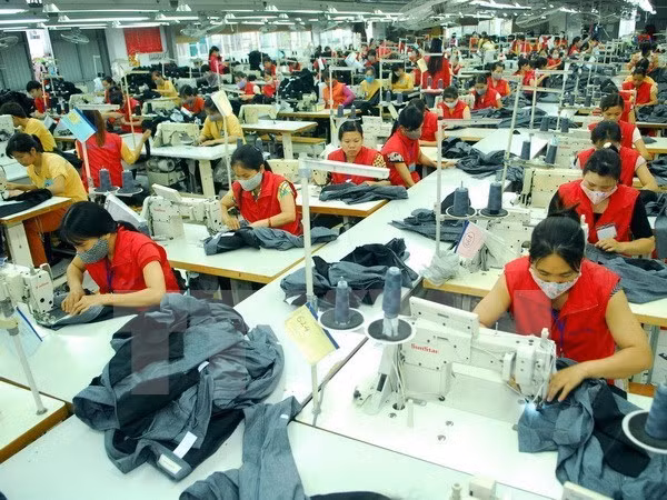 Corporaciones vietnamitas muestran interés en mercado ruso ảnh 1