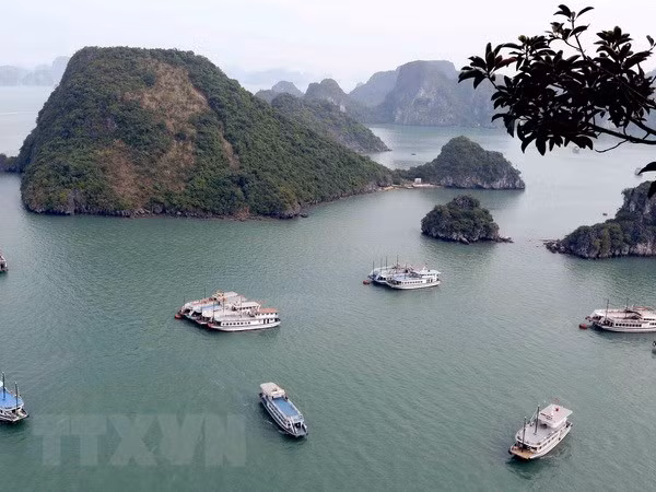 Vietnam promueve desarrollo sostenible del turismo en sus patrimonios mundiales ảnh 1