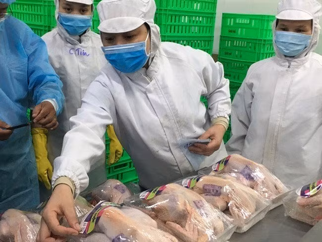 Empresa vietnamita desplegará moderno proyecto ganadero en la región ảnh 1