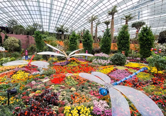 Singapur exhibe macetero floral más grande del orbe ảnh 1