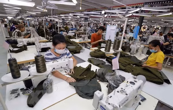 Empresas en Delta del Mekong mantienen buen desempeño en 2017 ảnh 1