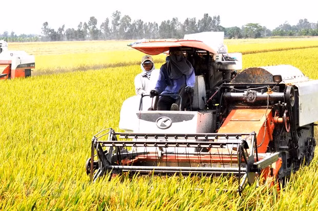 Aspira Vietnam a crecimiento económico de 6,5 por ciento en 2021 ảnh 2