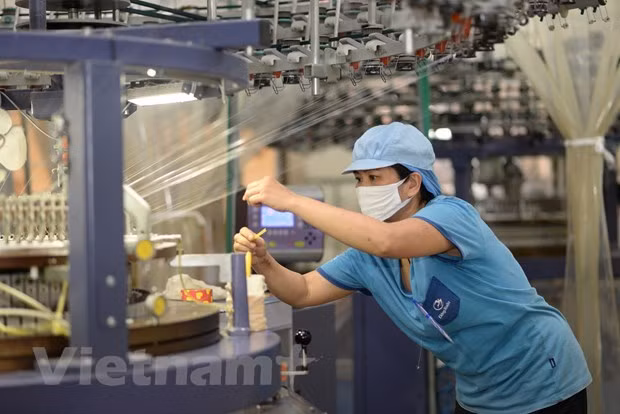 Vietnam y la India buscan promover la industria textil ảnh 2