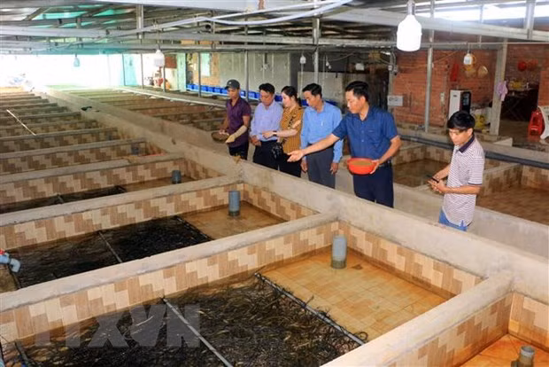 Más de 9,6 millones de trabajadores rurales se benefician del proyecto de capacitación ảnh 1