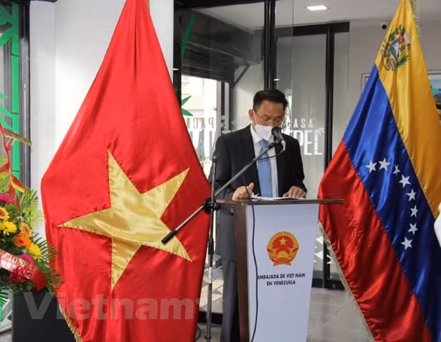 Conmemoran 31 aniversario de relaciones diplomáticas entre Vietnam y Venezuela ảnh 1