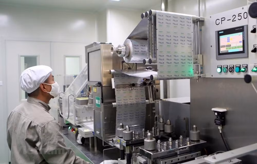 Perspectivas económicas para 2021: Vietnam será un punto brillante ảnh 1