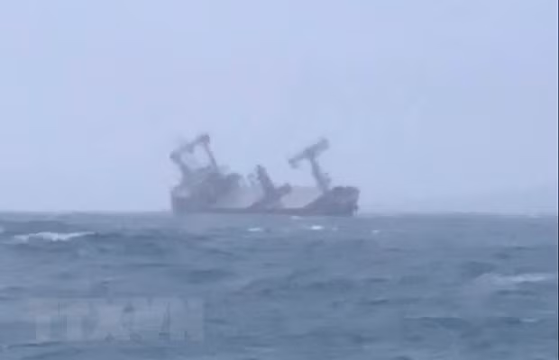 Rescatan a 11 marineros de barco panameño accidentado en aguas vietnamitas ảnh 1