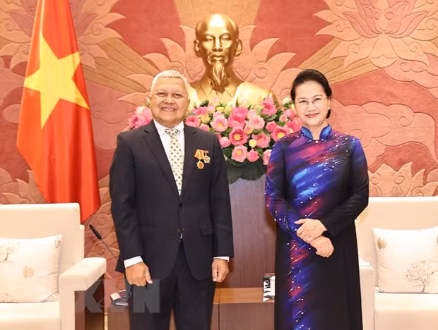 Enaltecen aportes de embajadores extranjeros al progreso de Vietnam ảnh 3