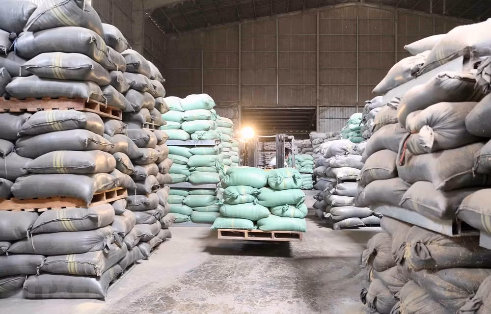 Mejoran calidad y competitividad del arroz de Vietnam ảnh 1 Mejoran calidad y competitividad del arroz de Vietnam ảnh 1