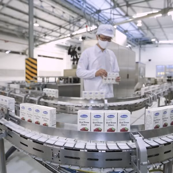 Vinamilk, mejor entidad entre las 10 principales empresas sostenibles vietnamitas 2020 ảnh 1