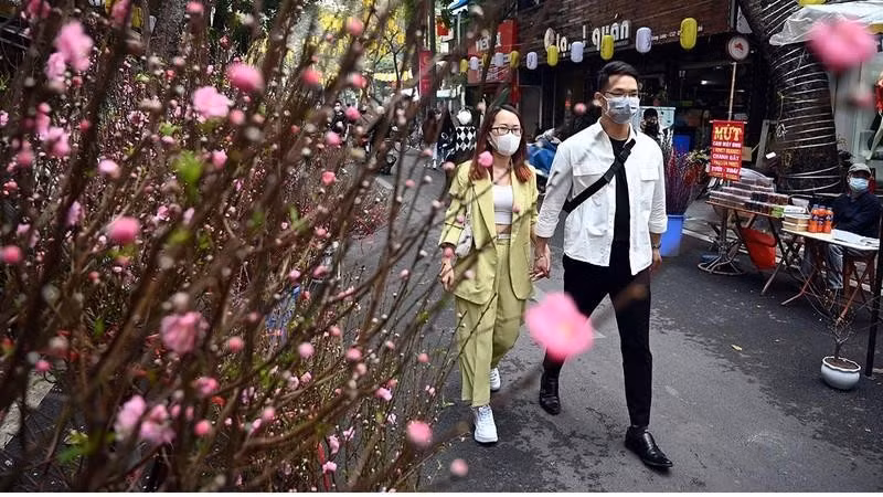 Hanoi abrirá cientos de mercados de flores durante el Año Nuevo Lunar ảnh 1
