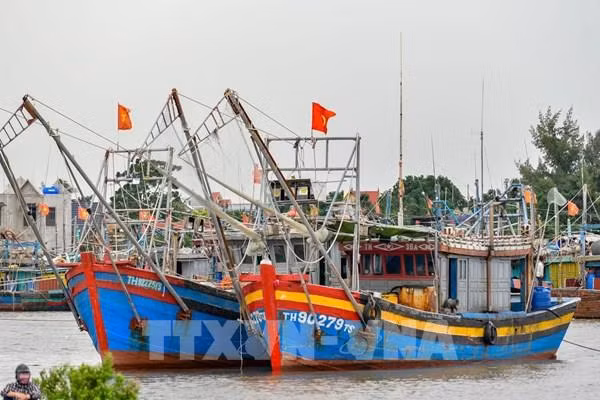 Listado público de pesqueros con riesgo de infringir en pesca ilegal ảnh 1