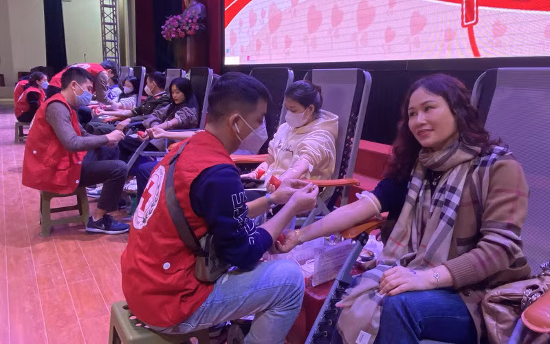 Más de mil voluntarios participan en campaña de donación de sangre ảnh 1