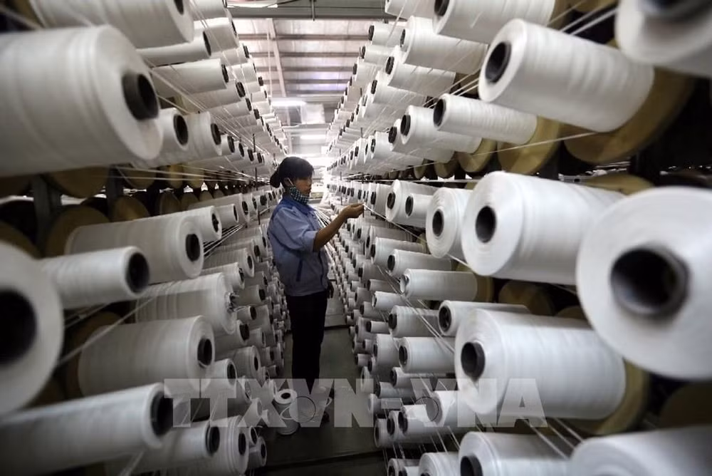 Vietnam y Corea del Sur poseen espacio para promover intercambio comercial ảnh 2