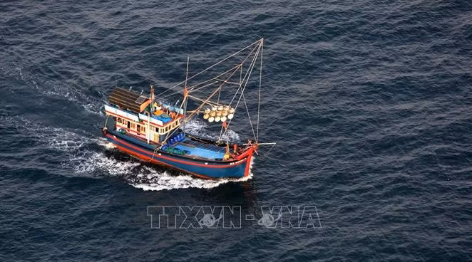 Localidades vietnamitas unen esfuerzos en lucha contra pesca ilegal ảnh 1