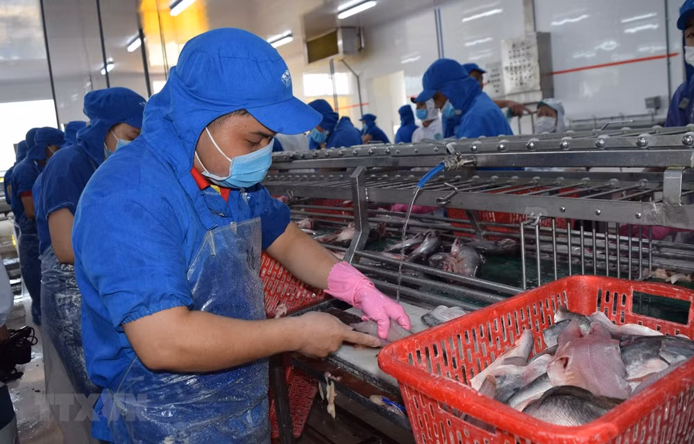 EVFTA ofrece oportunidades para productos acuáticos vietnamitas ảnh 1