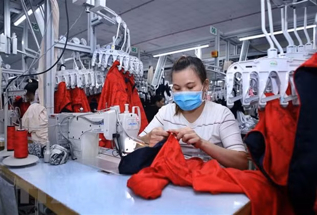 Rebrote epidémico de COVID-19 apenas afecta psicología empresarial de Vietnam en agosto ảnh 1