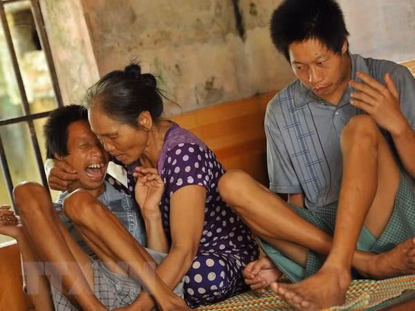 Benefician con subsidio estatal a víctimas de dioxina en la provincia vietnamita de Tien Giang ảnh 1