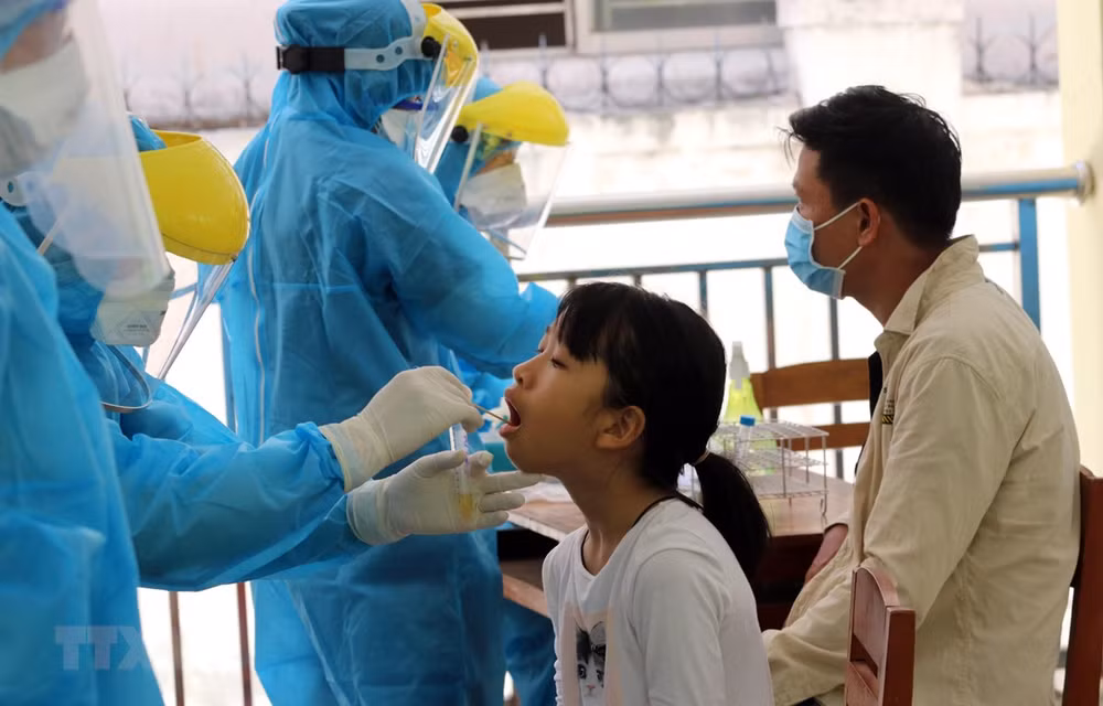 Realizan pruebas de COVID -19 a 700 turistas de Ciudad Ho Chi Minh encontrados en Da Nang ảnh 1
