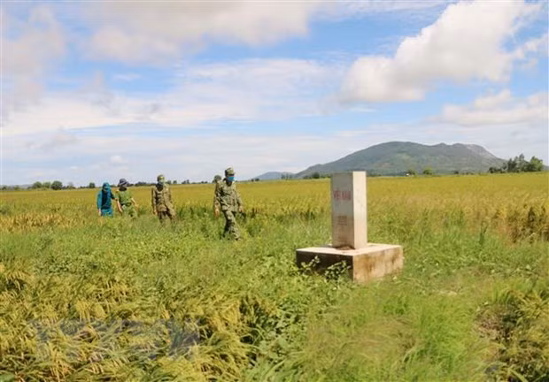 Vietnam aplica sanciones estrictas contra vehículos en zonas fronterizas ảnh 1