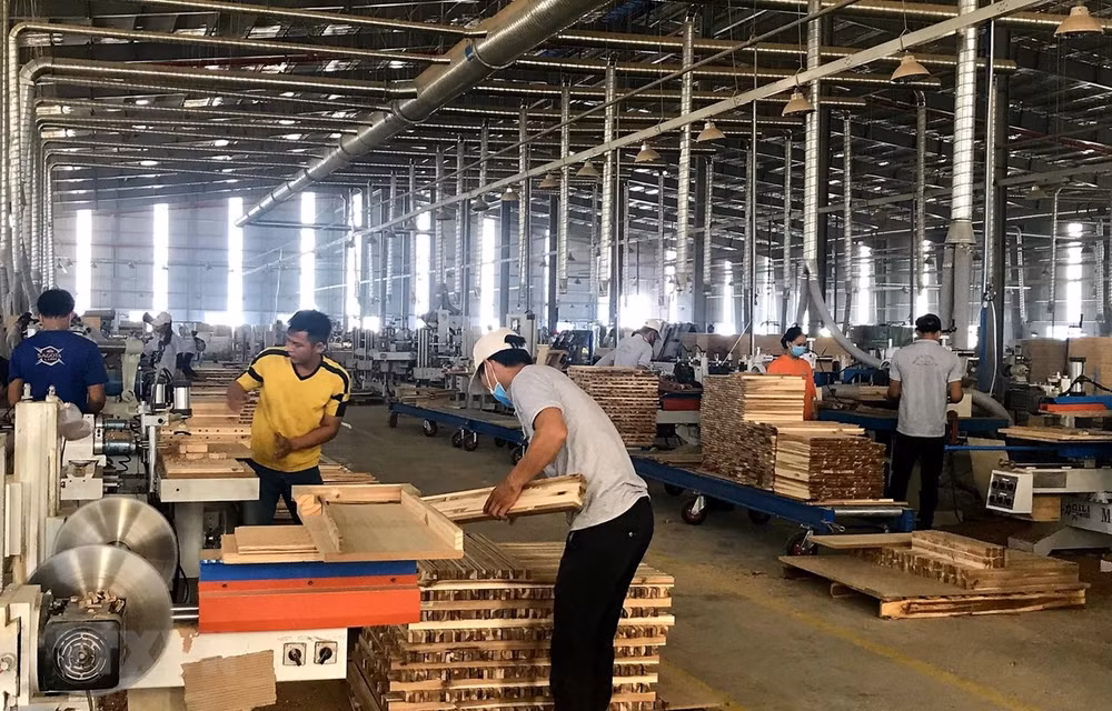 Exportaciones de madera y productos derivados de Vietnam aumentan en seis por ciento ảnh 1